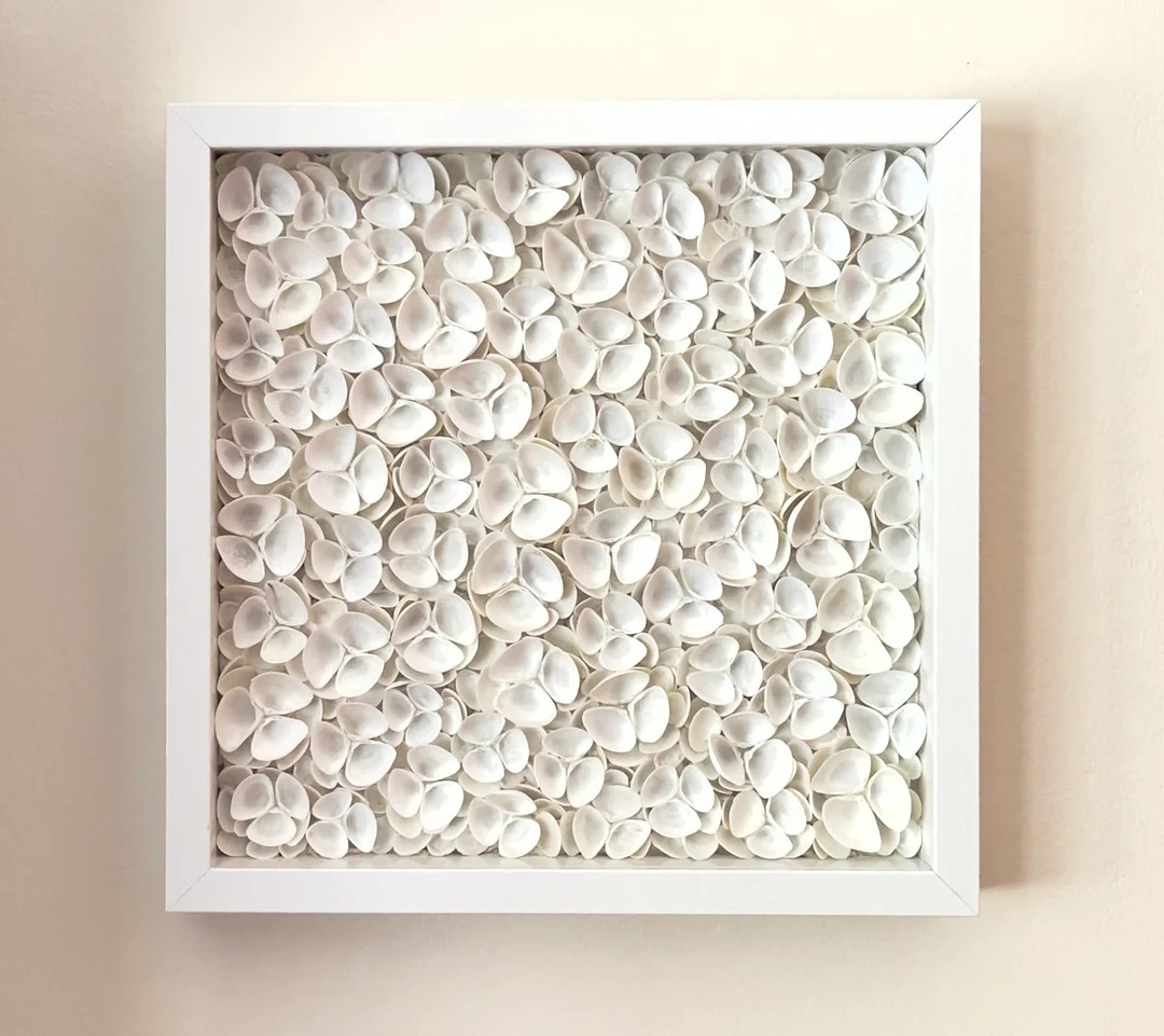 SHELL SHADOW BOX L Wall Art L Mother's Day Gift L Shell Art L Wall Decor L Coastal Art L Shell Fl... | Etsy (US)