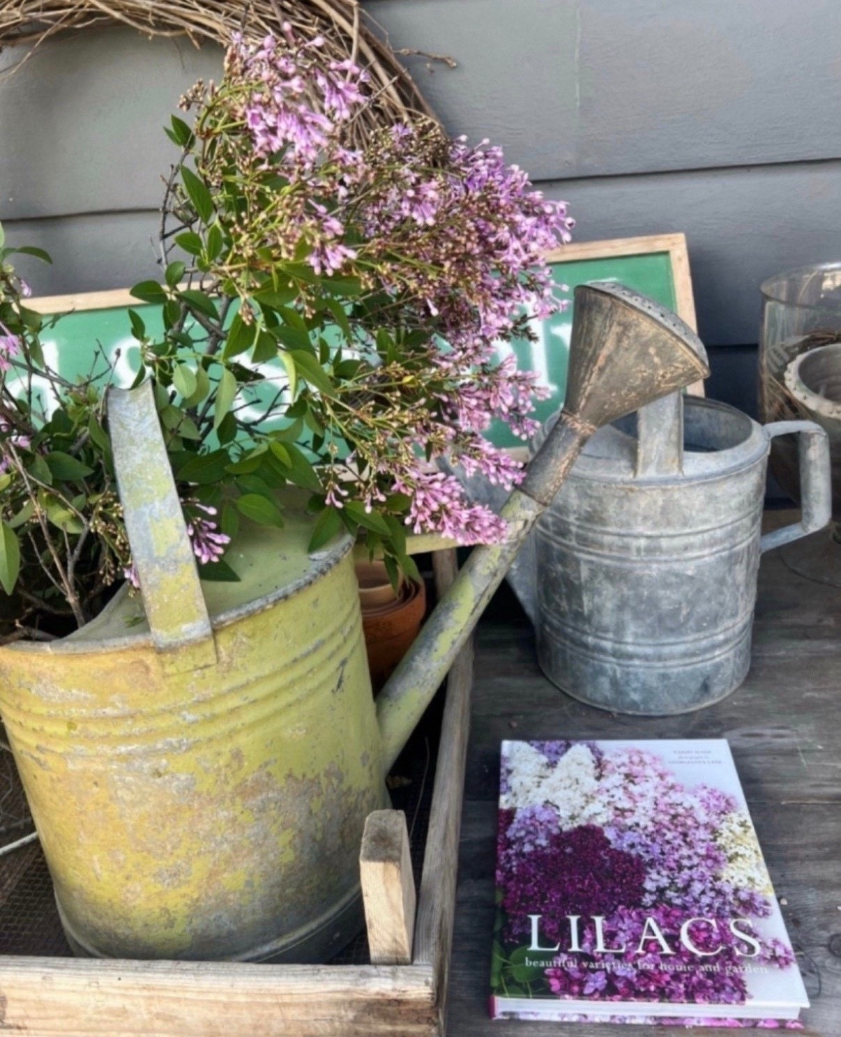 This book is pure floral eye candy! Filled with stunning lilac imagery and timeless inspiration, it’s one I find myself reaching for again and again. Perfect for flipping through with a cup of tea and dreaming up garden plans 💖




#LTKHome #LTKSeasonal #LTKU