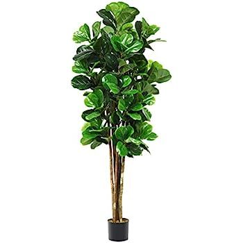 Nearly Natural 6ft Fiddle Leaf Fig Artificial Trees, 72in, Green | Amazon (US)