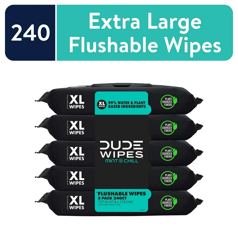 DUDE Wipes Flushable Wipes, XL Wet Wipes for at Home Use, Mint Chill, 48 Count, 5 Pack | Walmart (US)