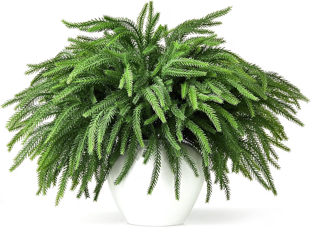 16 Pcs Norfolk Pine Stems, 19" Long Artificial Norfolk Pine Branches, Faux Greenery Stems, Real T... | Amazon (US)