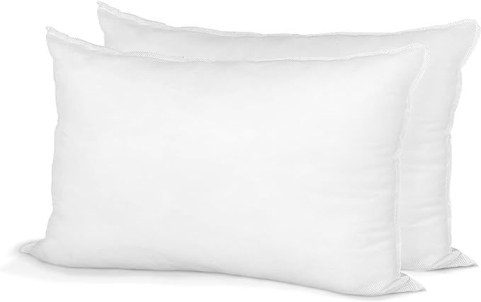 Pillow Insert 20" x 26" Polyester Filled Standard Cover (2 Pack) | Amazon (US)