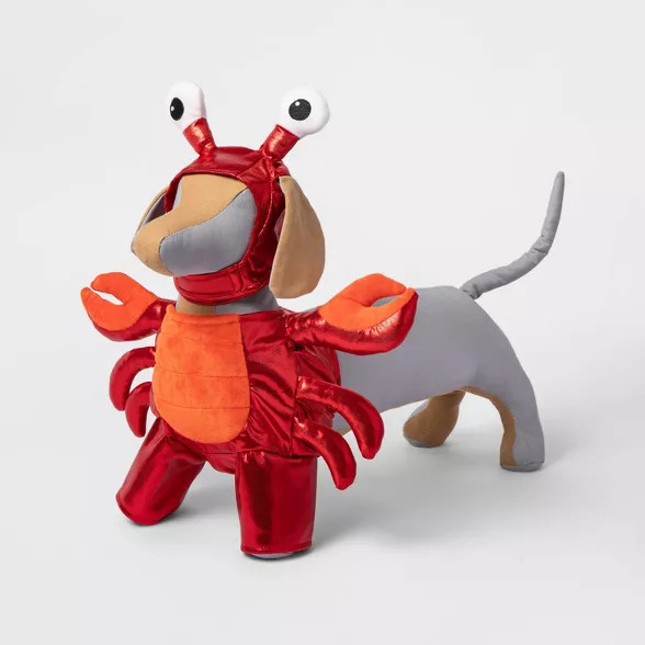 Lobster Frontal Dog and Cat Costume - Boots & Barkley™ | Target