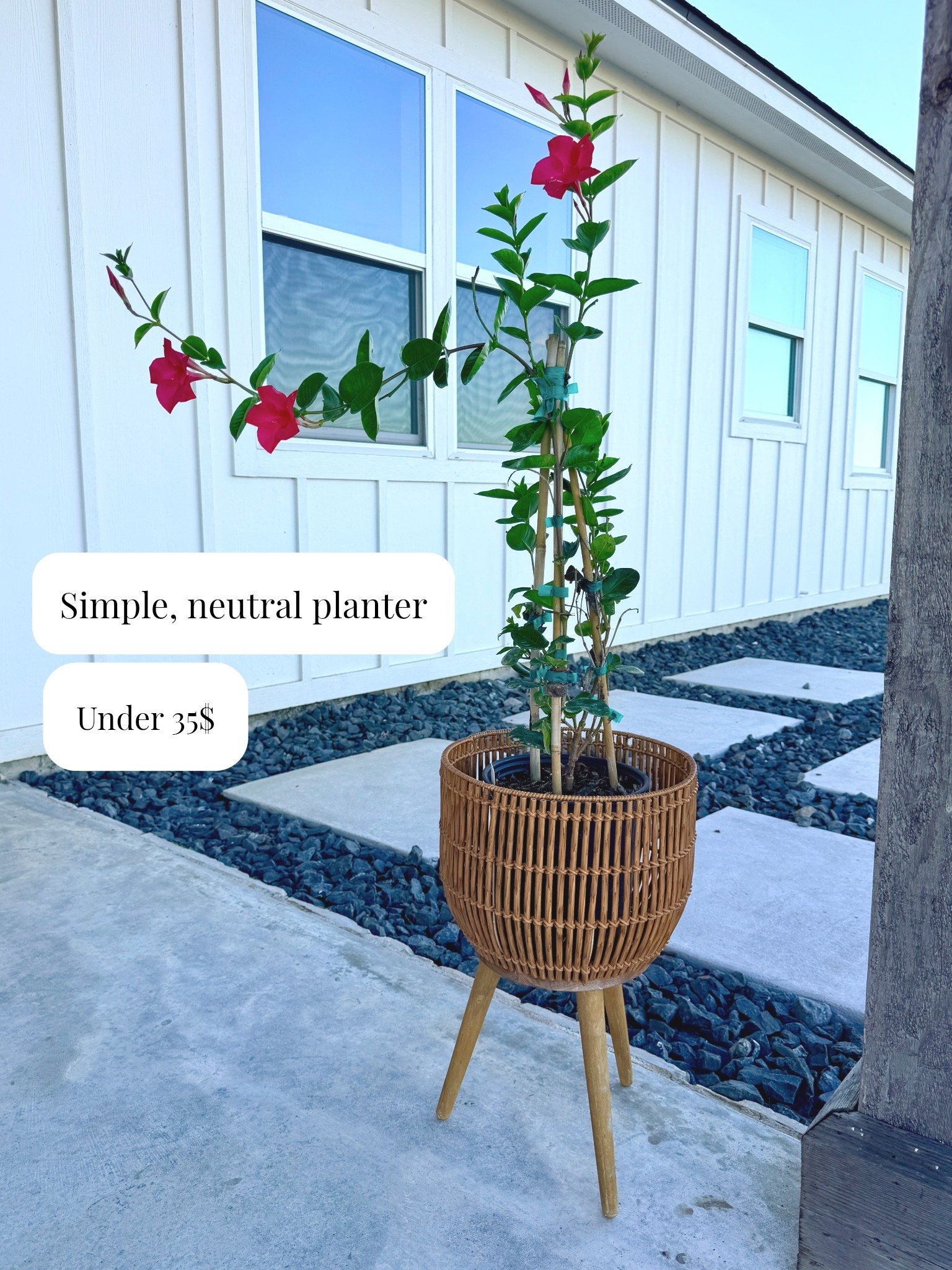 One of my favorite simple porch updates lately. 

I grabbed this Walmart planter and paired it with a mandevilla for a little pop of color & It just makes everything feel more finished without doing too much.

#Walmartpartner #porch #patio 


#LTKHome