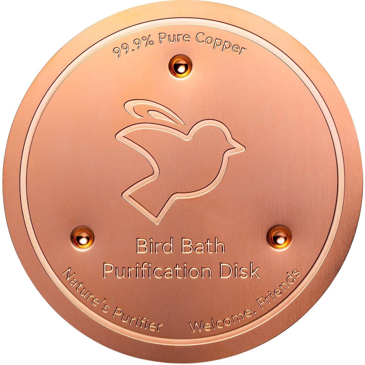 Bird Bath Copper Disk for Purification 

#LTKFallSale #LTKFindsUnder50 #LTKHome