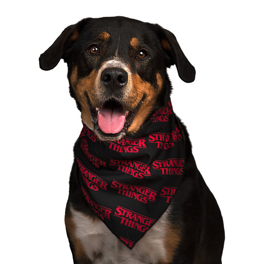 Stranger Things™ Pet Bandana | Five Below