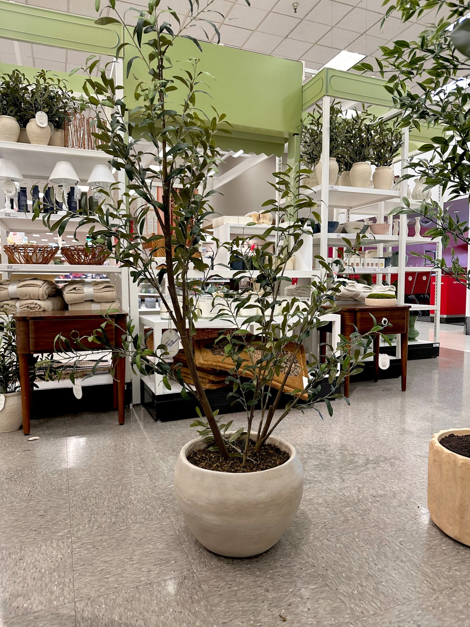 asymmetrical olive tree 

#LTKstorytime #LTKmorningroutine #LTKHome