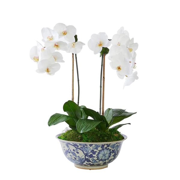 Double White Orchid in Vigne Florale Bowl | Caitlin Wilson Design