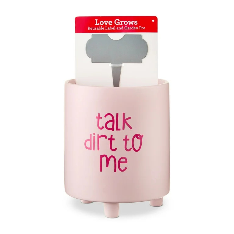 Talk Dirt to Me Planter Set, Pink, 6", Valentine's Day by Way To Celebrate | Walmart (US)