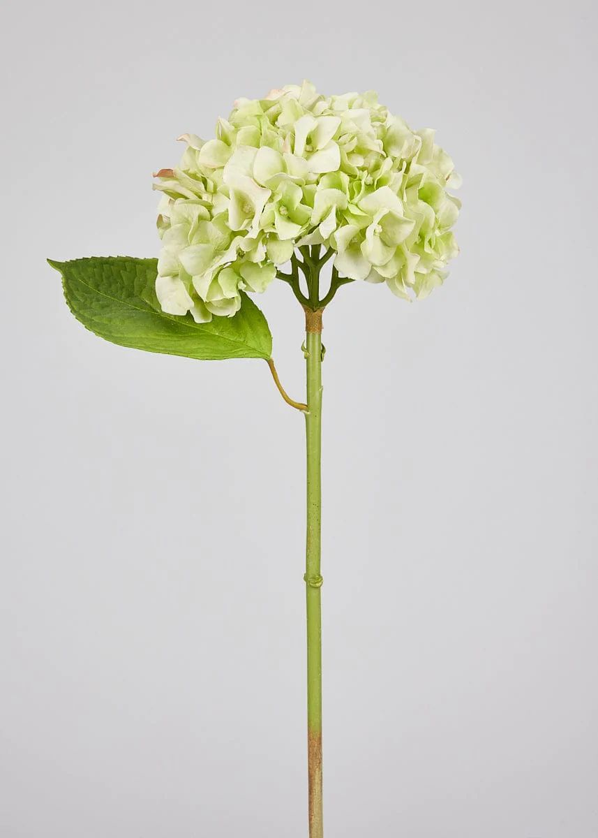 Green Real Touch Hydrangea | High-Quality Faux Flowers | Afloral.com | Afloral