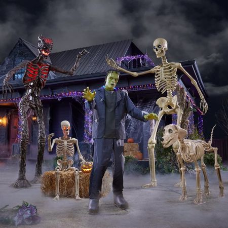 Home Depot Halloween 💀 Limited Quantities Released ✨ 12 ft skelly skeleton, new skelly dog, Frankenstein animatronic, halloween decor 

#LTKhome #LTKSeasonal #LTKfamily
