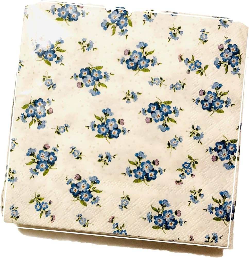 20-ct 13x13 Floral Napkins for Decoupage Napkins Blue and White Napkins Decorative Napkins for De... | Amazon (US)