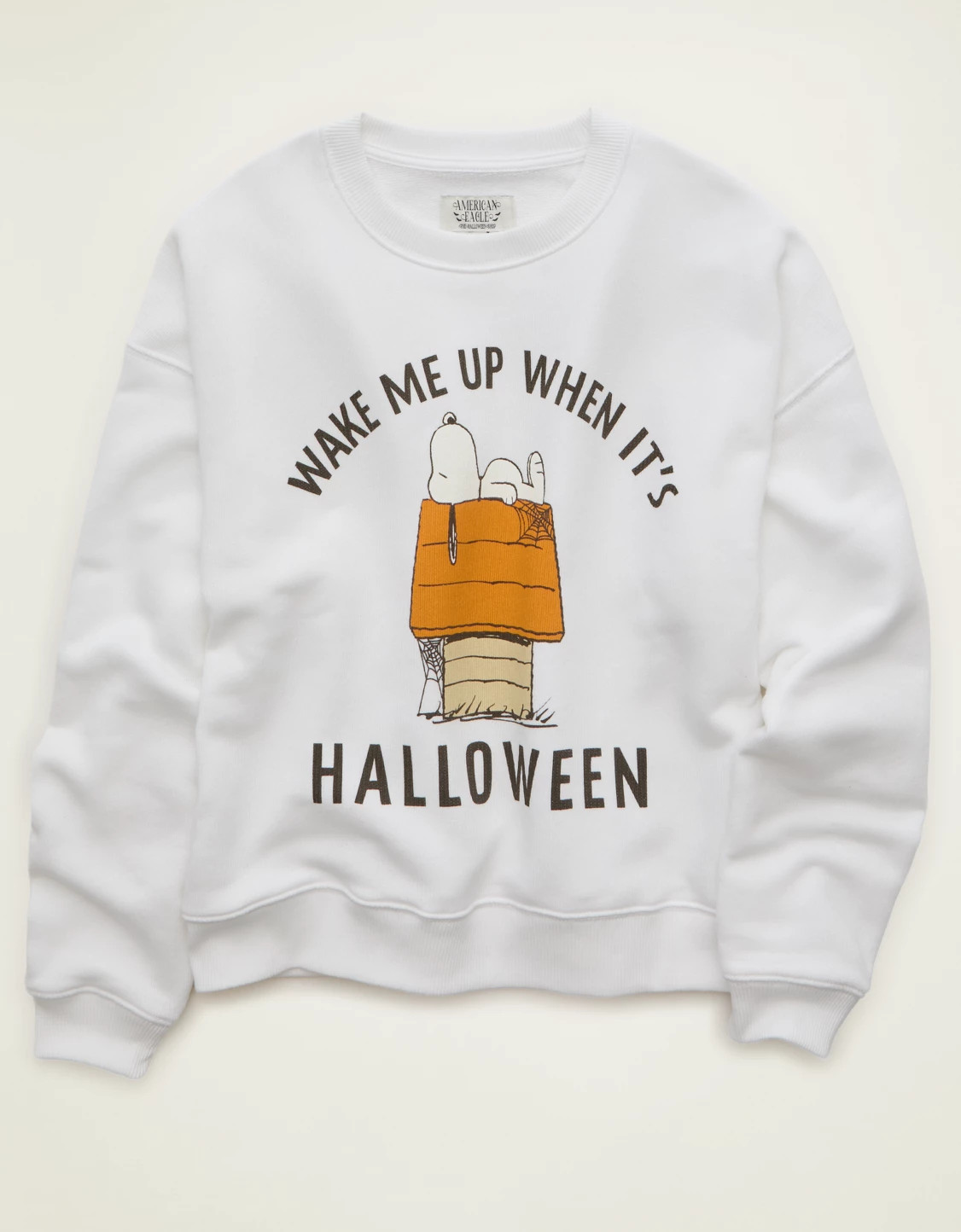 AE Peanuts Halloween Graphic Sweatshirt | American Eagle Outfitters (US & CA)