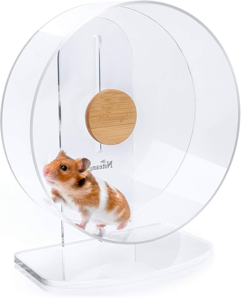 Niteangel Silent Hamster Exercise Wheel - Dual-Bearing Quiet Spinning Acrylic Hamster Running Whe... | Amazon (US)