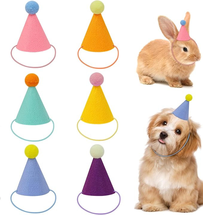 6 Pcs Mini Party Hats for Stuffed Animals, Birthday Party Cone Hats Dolls Dog Cat Rabbit Puppies ... | Amazon (US)