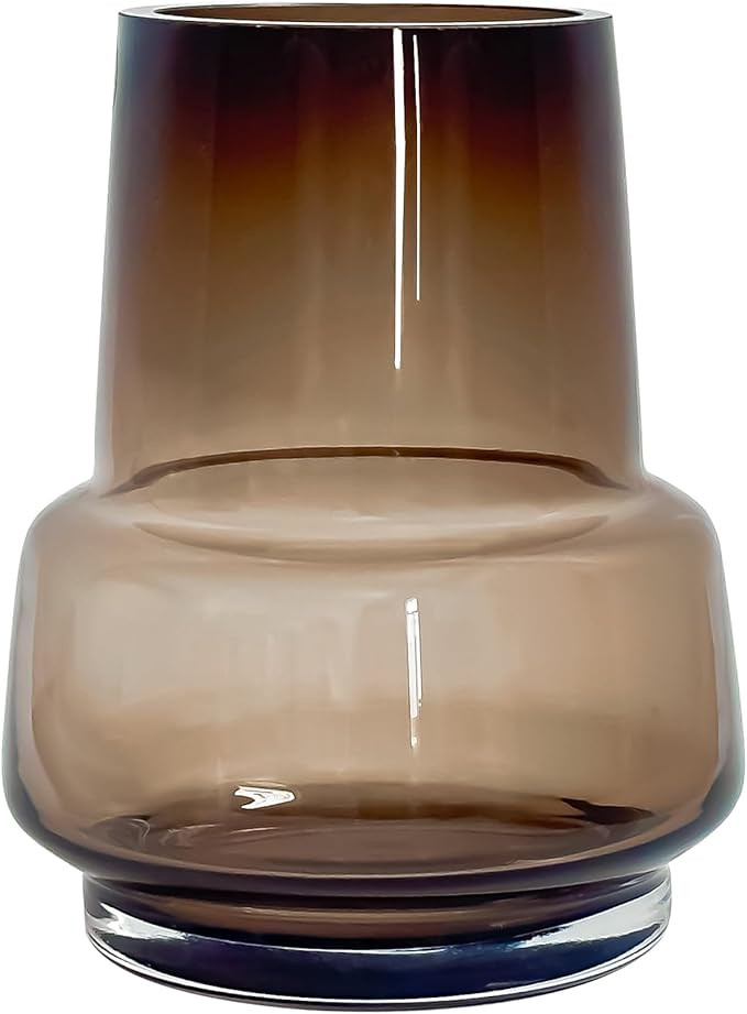 Aoderun Glass Vase for Flowers Handmade Modern Large Flower Vases for Centerpieces Living Room Of... | Amazon (US)