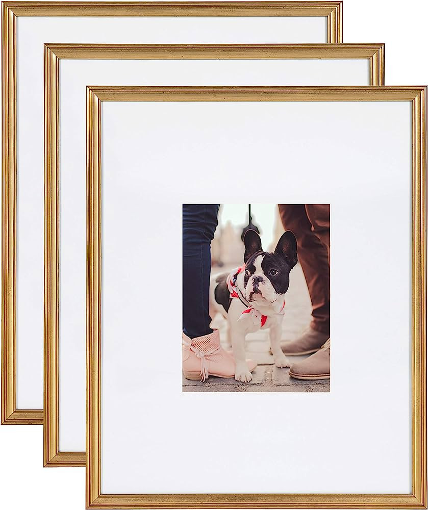 Kate and Laurel Adlynn Wall Picture Frame Set, 16" x 20" matted to 8" x 10", Gold, Set of 3 | Amazon (US)