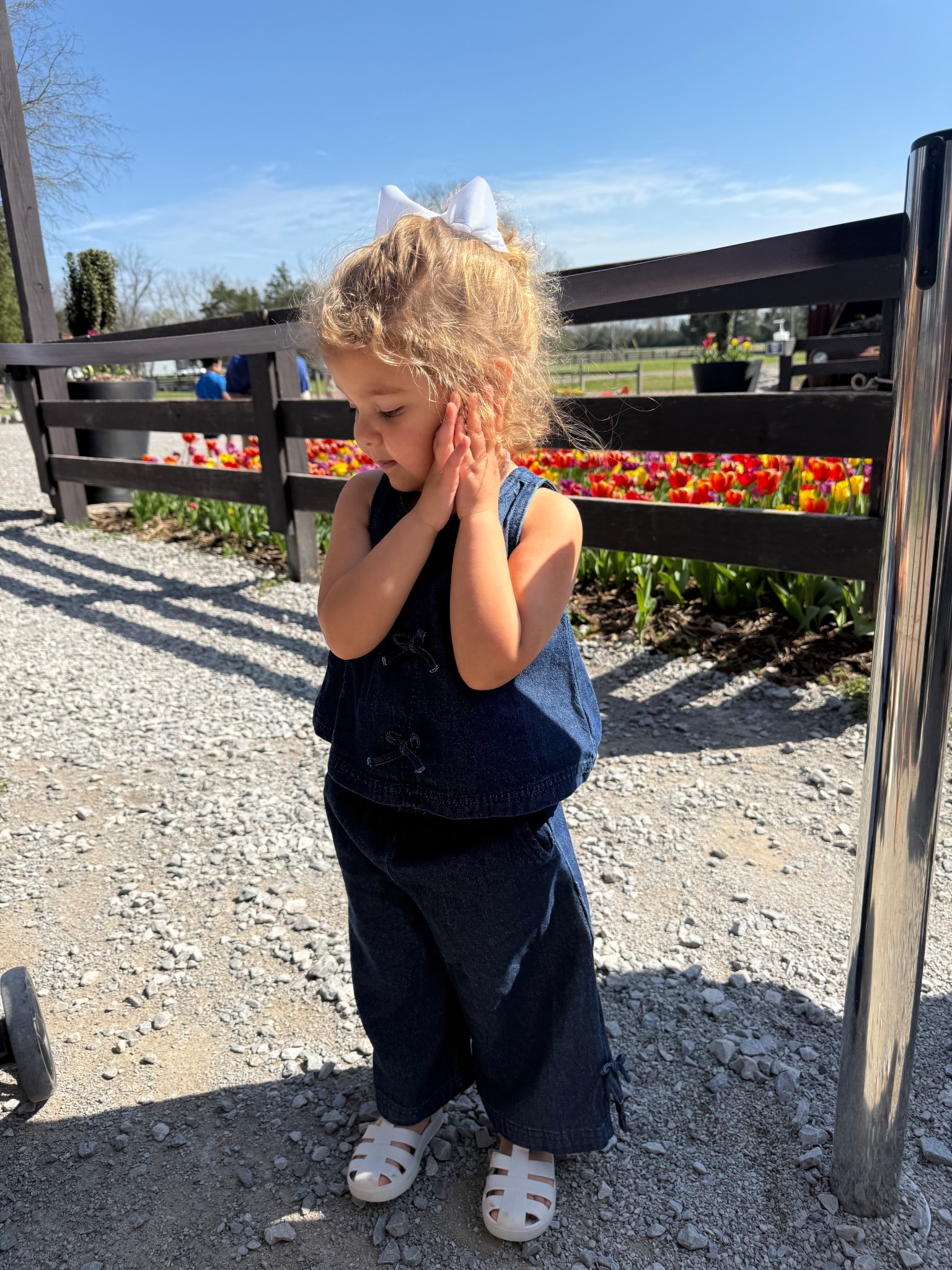 Vivi’s set is out of stock from Gap & shoes are Pehr!! Linking similars for both!

Dressupbuttercup.com #dressupbuttercup #dederaad


#LTKKids #LTKSeasonal #LTKmomlife