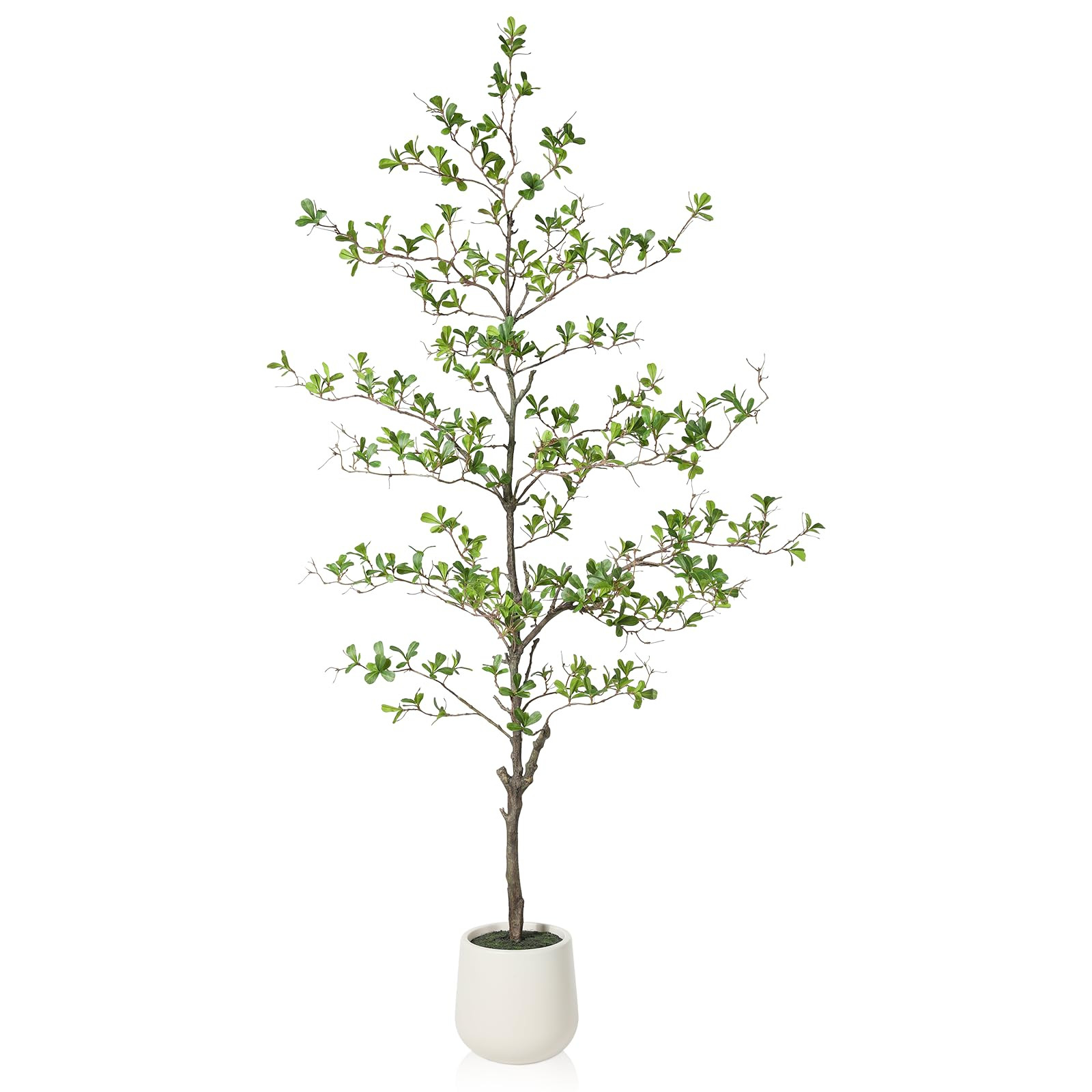 Artificial Black Olive Tree, 6FT Tall Faux Shady Lady Tree, Fake Tree with White Planter and Fake... | Amazon (US)