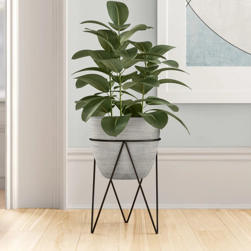 Jaliyah Concrete Pot Planter | Wayfair North America
