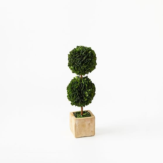 Boxwood Double Topiary, Small (12"") | West Elm (US)