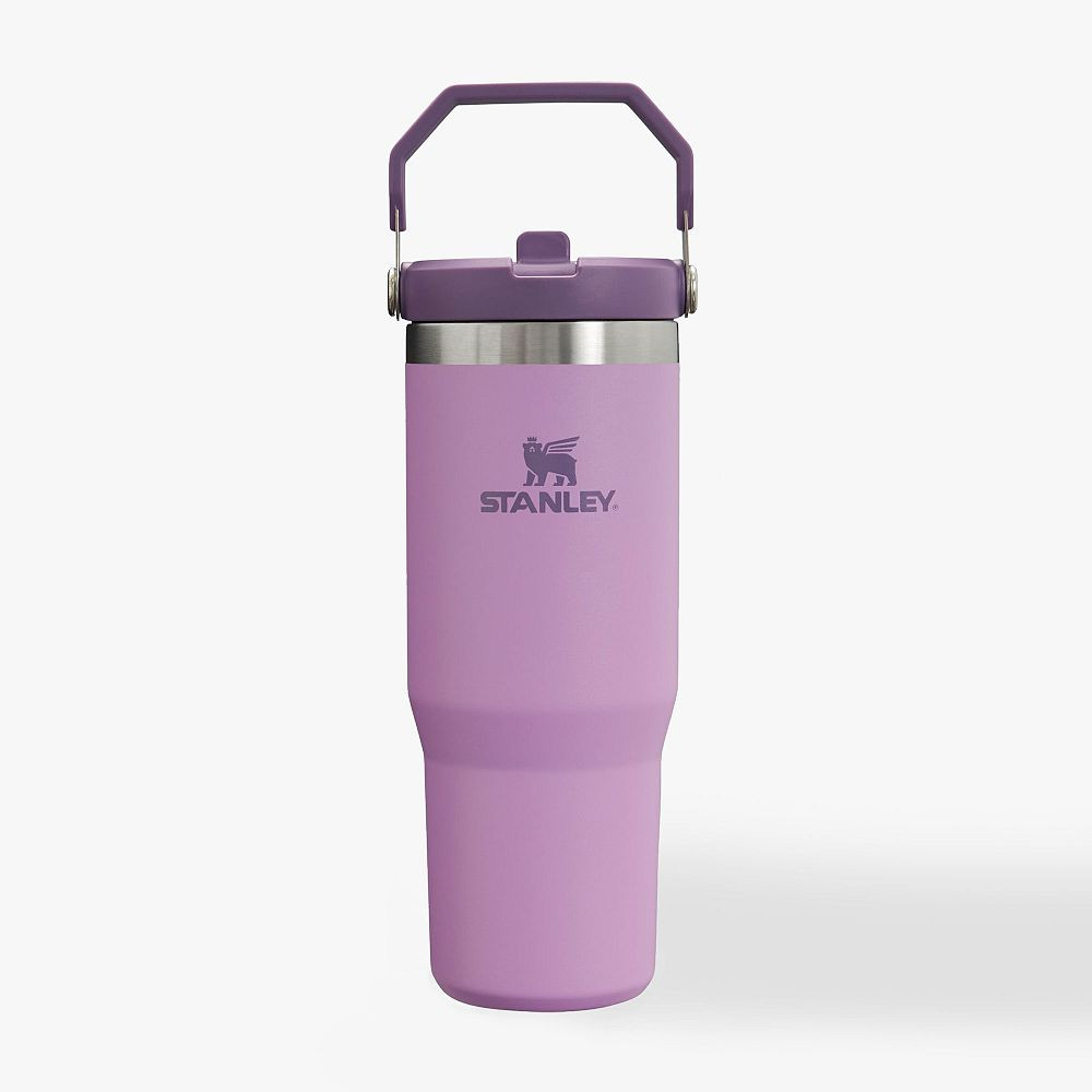 Stanley Iceflow Flip Straw Tumbler | Pottery Barn Teen
