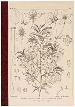 Tomitaro Makino/Almost Daily Square Notebook (A5) Yamazakura 3.7 mm Square 288 Pages, 4 Color Gri... | Amazon (US)