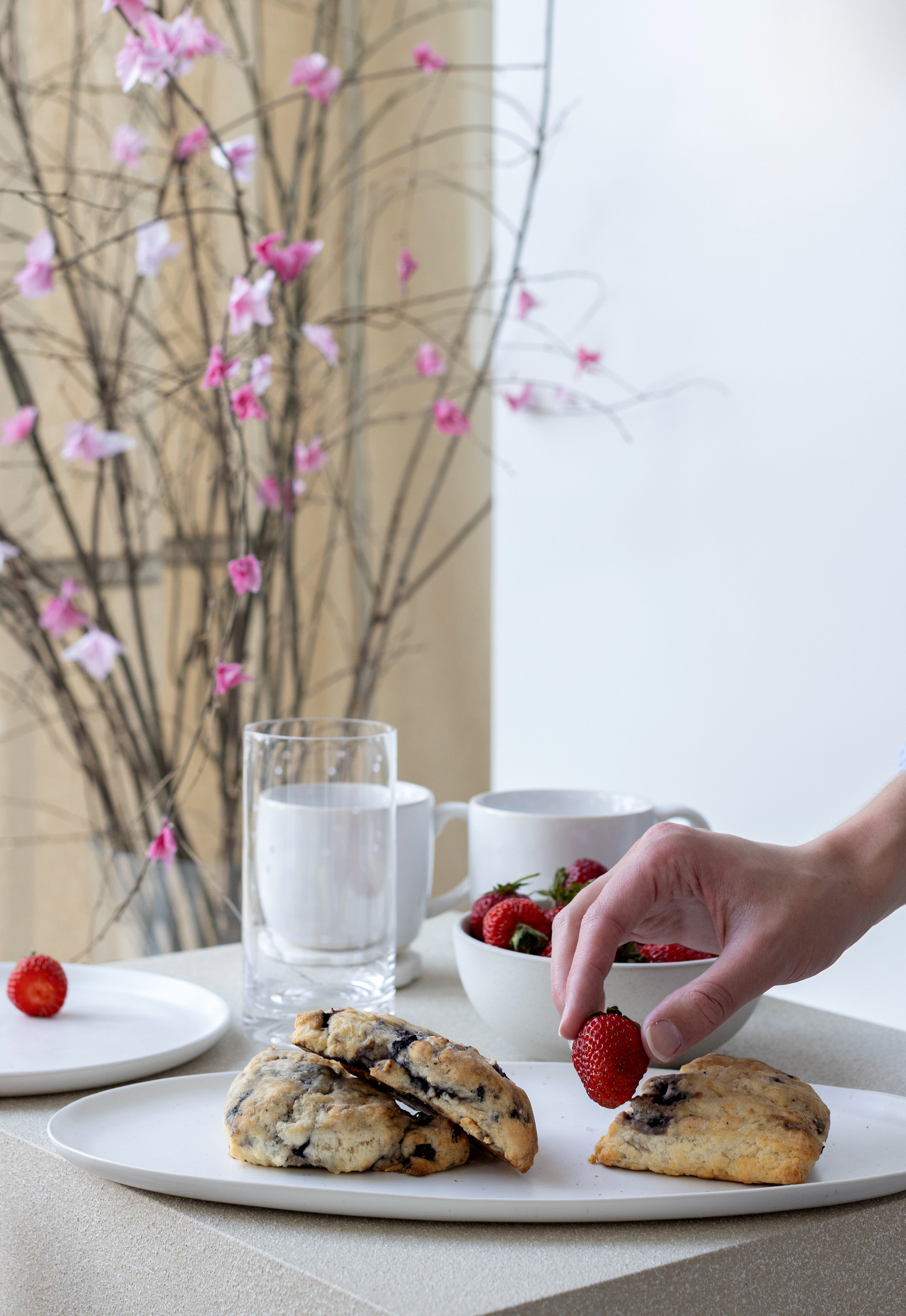 Spring shoppies from all of my favourite stores.  Pick up something sweet and simple to refresh your home for the season! 

 #LTKcanada #LTKhome #LTKstyletip