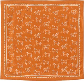 Yeehaw Bandanas | Nordstrom