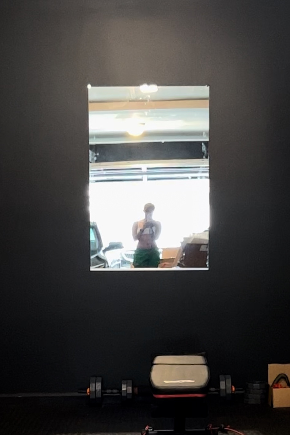 Mirror in Home Gym

#LTKhome #LTKfit #LTKGiftGuide