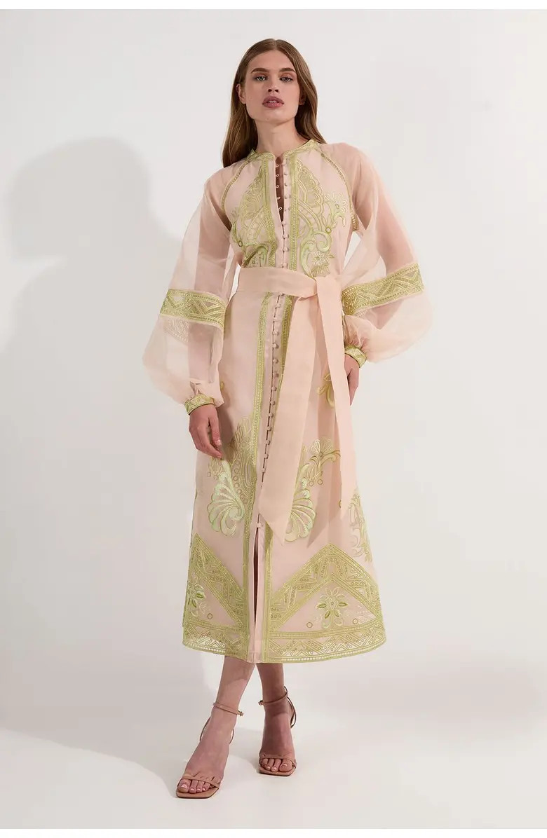 Embroidered Balloon Sleeve Maxi Dress | Nordstrom