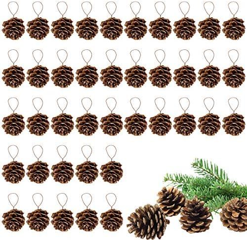 Apipi 40 Pieces Rustic Pine Cones Ornaments -Christmas Natural Pine Cones Ornament with String fo... | Amazon (US)