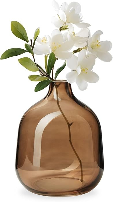 Torre & Tagus Belle Mouth Blown Art Glass Vase for Flowers - 5" Tall Clear Light Brown Colorful V... | Amazon (US)
