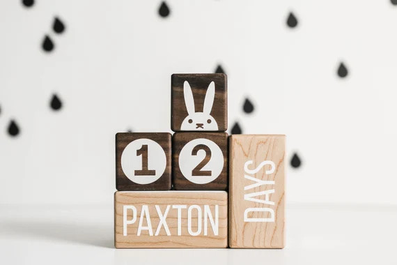 Milestone Block - Baby Age Blocks - Wooden Age Blocks - Modern nursery decor- Pregnancy Photo pro... | Etsy (US)