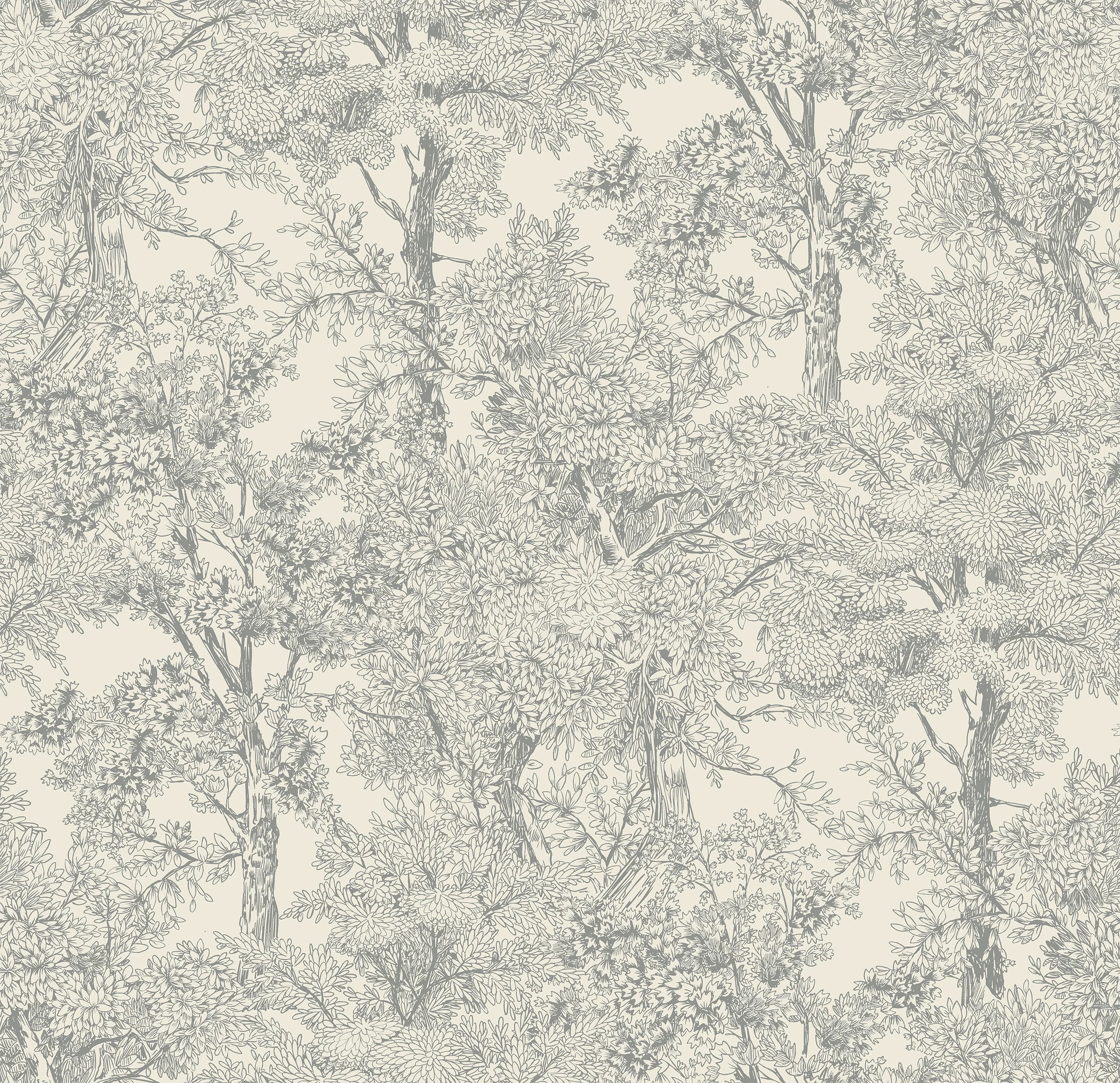 Richmond in Gray | North and Finch