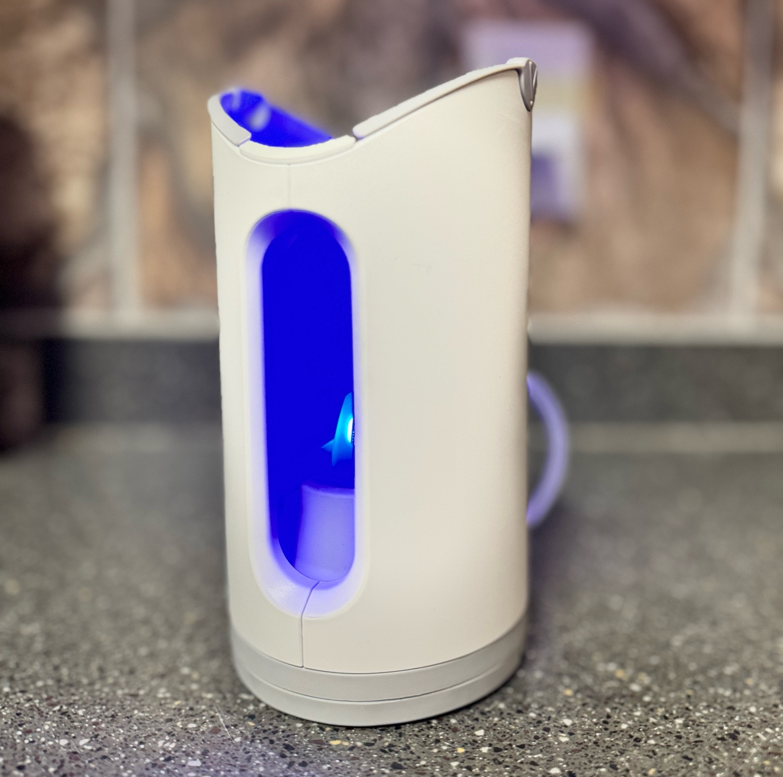 Fruit flies be gone! This little device is the only thing I’ve found that actually catches fruit flies 

#LTKSeasonal #LTKFindsUnder100 #LTKHome