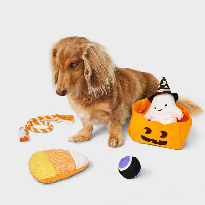 Trick or Treat Dog Rope Plush Toy Set - 4pk - Boots & Barkley™ | Target