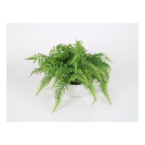 Large Fern in White Pot - Threshold™ | Target