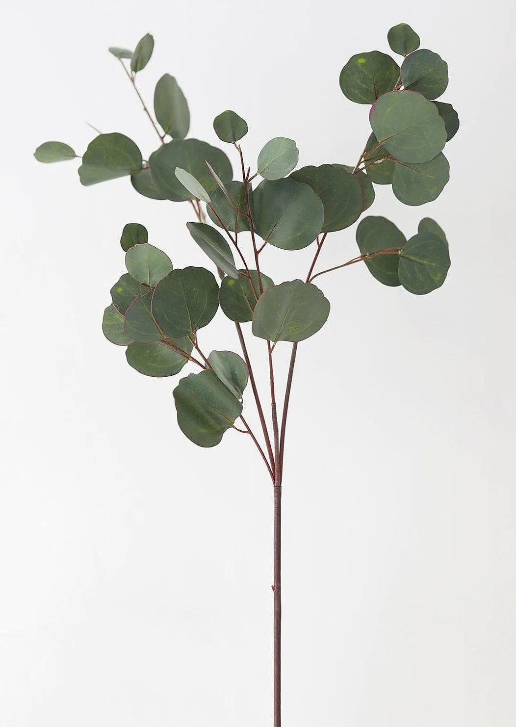 Real Touch Silver Dollar Eucalyptus - 30" | Afloral