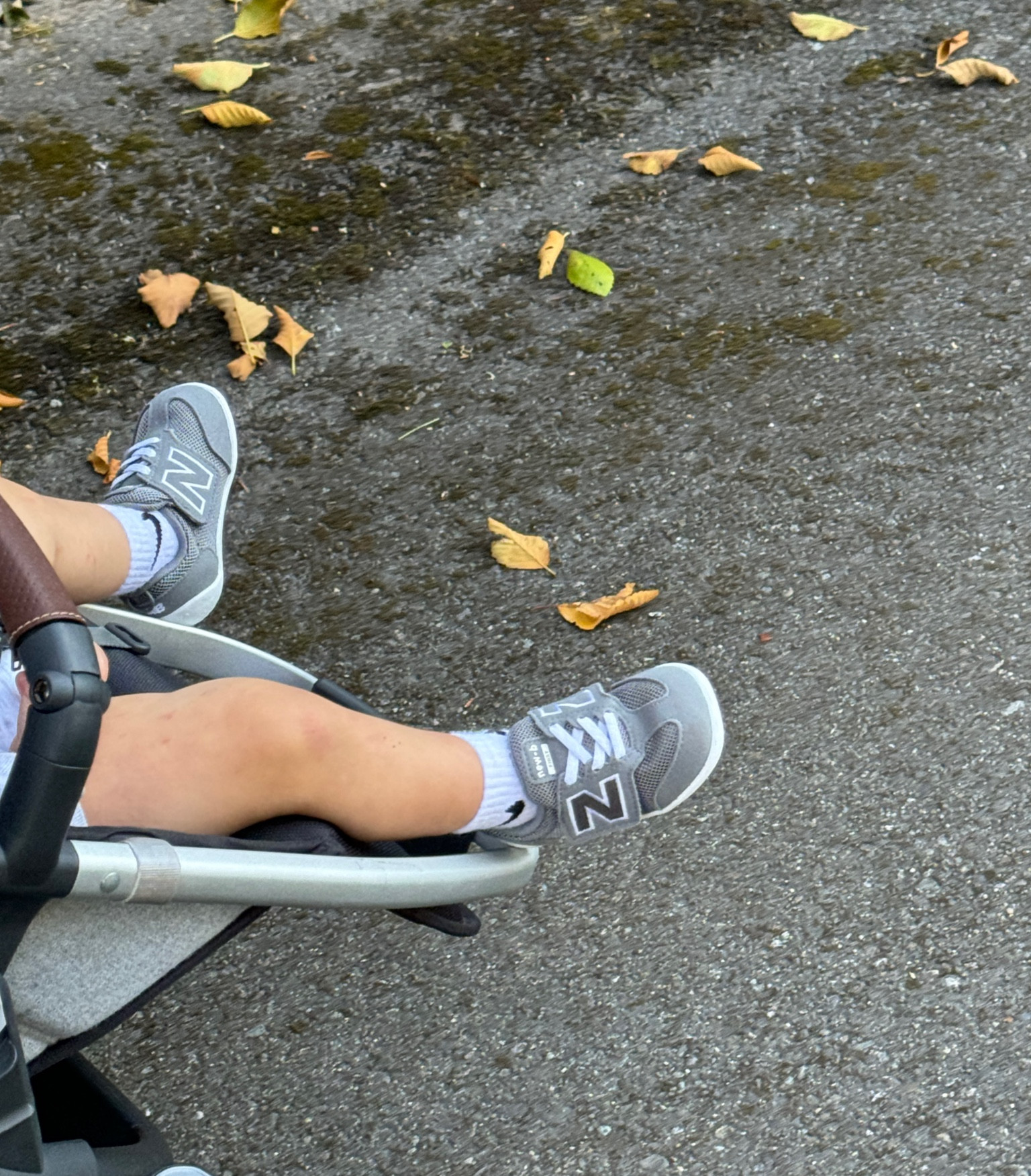 Toddler first pair of walking shoes! We got the new balance’s and converse and fit so well! 

#LTKBacktoSchool #LTKBaby #LTKKids
