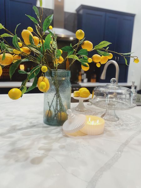 Make a statement in your kitchen with these giant, faux lemon stems from Amazon!

#LTKhome #LTKSeasonal #LTKFind