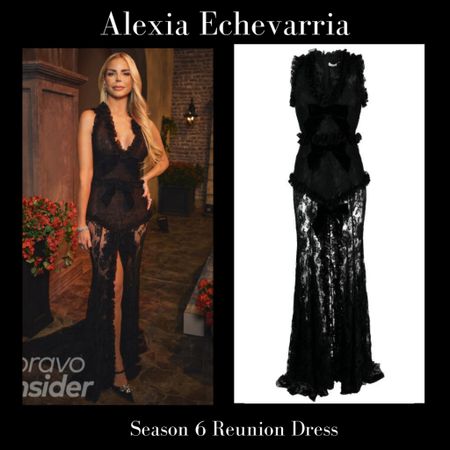 Alexia Echevarria’s Real Housewives of Miami Season 6 Reunion Dress 📸 + info = BravoTV.com