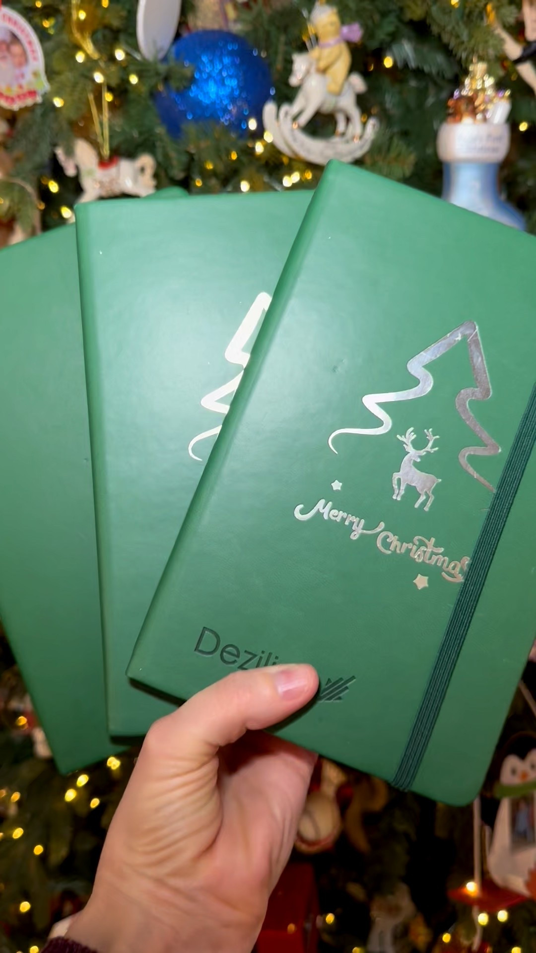 Every year after Christmas, I write down the moments that made it magical — for each of my kids.
The places we went. The people we saw. The gifts they loved. The little stories that made us laugh.
One day, they’ll be able to read the story of their childhood magic.