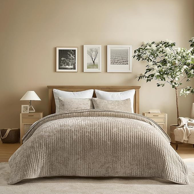 EVERGRACE Velvet Quilt Set Queen Size, Luxurious Soft Striped Channel Bedding Set, Lightweight Ve... | Amazon (US)