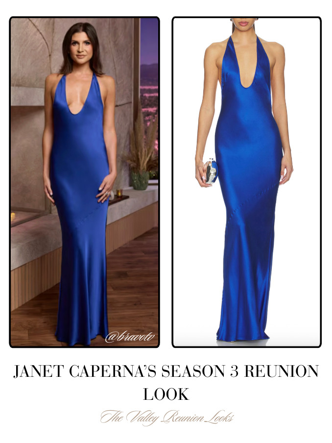 Janet Caperna's Season 3 Reunion Look 📸 + Info= Bravo TV 

 