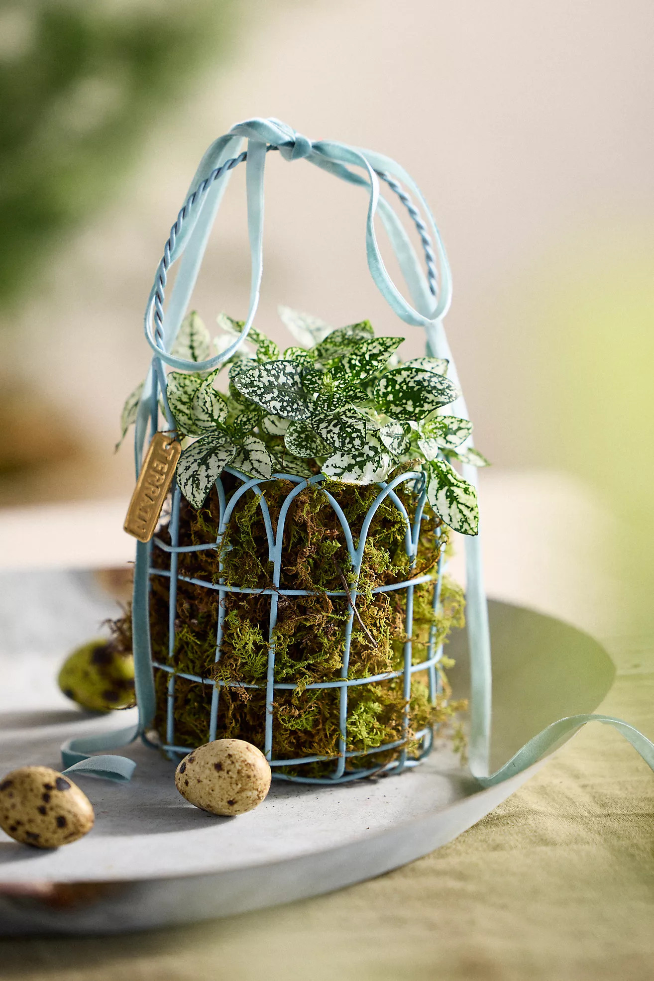 Scalloped Wire Basket, Mini | Anthropologie (US)