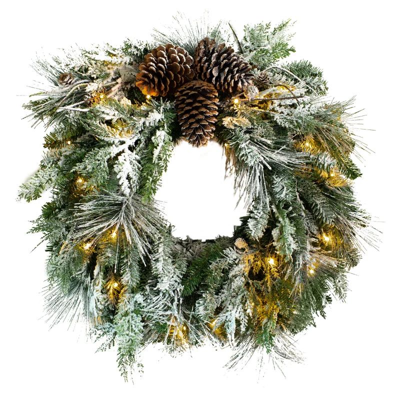 24'' Lighted Polyvinyl Chloride Wreath | Wayfair North America