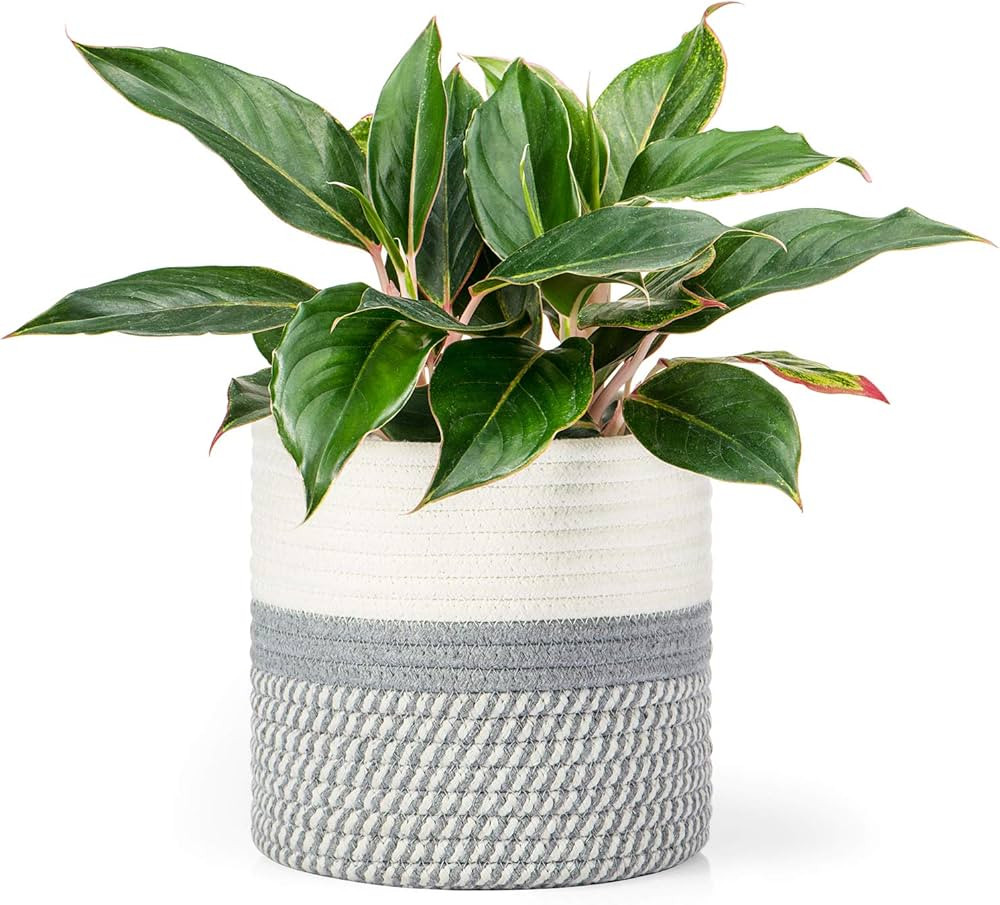 Dahey Jute Cotton Rope Plant Basket Mini Woven Storage Basket for Up to 7" Planter, 7.5" x 8" Dec... | Amazon (US)