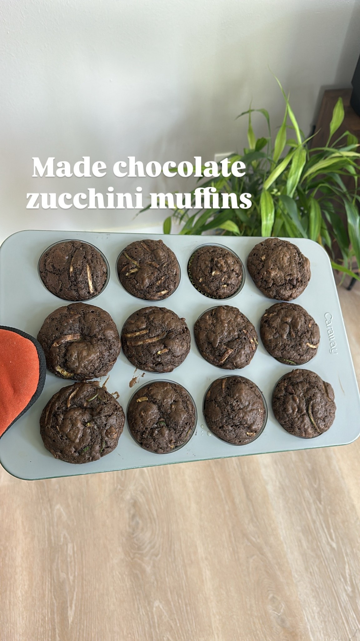 Chocolate + veggies = mom win 🙌 These chocolate zucchini muffins came out perfectly in my ceramic-coated 12-cup muffin pan—no sticking, easy clean-up, and fluffy bites every time. 🍫🥒 The pan makes baking (and scrubbing after) effortless. A staple for back-to-school snacks, meal prep, or anytime baking!
#LTKhome #LTKcooking #BakingMadeEasy #HealthyBaking #MomLife #LTKfamily #BackToSchoolSnacks #BakingInspo #EasyRecipes #LTKKitchen

#LTKKids #LTKHome #LTKFindsUnder100
