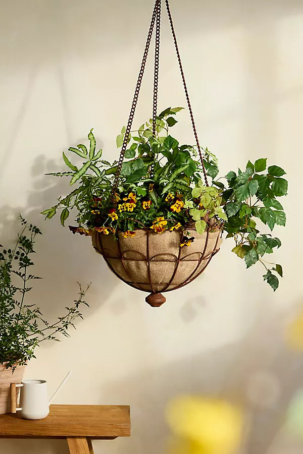 Scalloped Iron Wire Hanging Basket | Anthropologie (US)